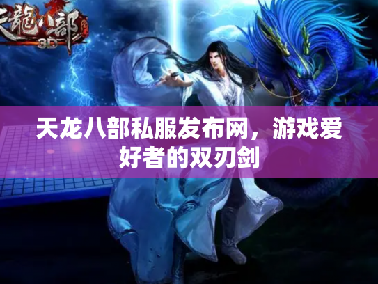 天龙八部私服发布网，游戏爱好者的双刃剑