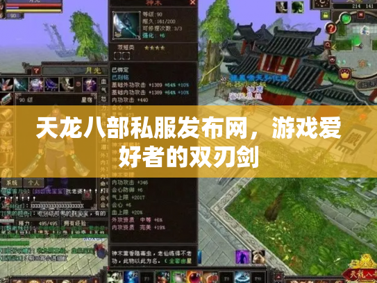 天龙八部私服发布网，游戏爱好者的双刃剑