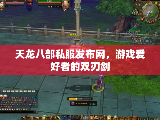天龙八部私服发布网，游戏爱好者的双刃剑
