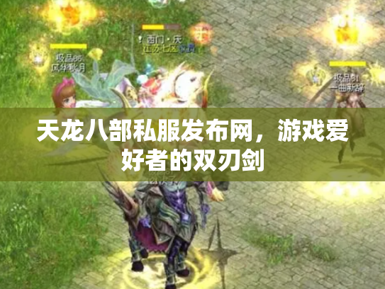 天龙八部私服发布网，游戏爱好者的双刃剑