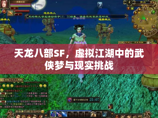 天龙八部SF，虚拟江湖中的武侠梦与现实挑战