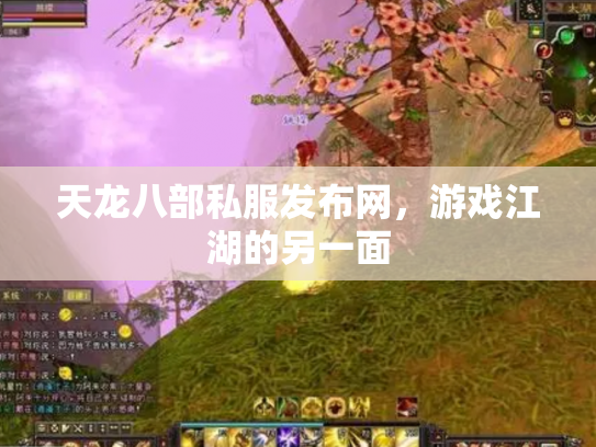 天龙八部私服发布网，游戏江湖的另一面