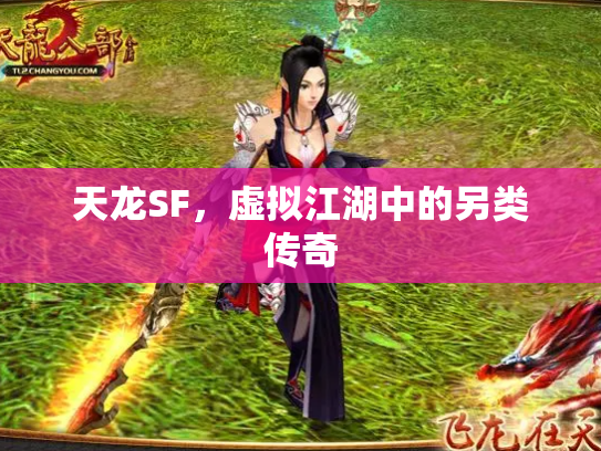 天龙SF，虚拟江湖中的另类传奇