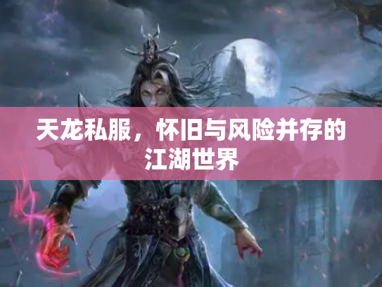 天龙私服，怀旧与风险并存的江湖世界