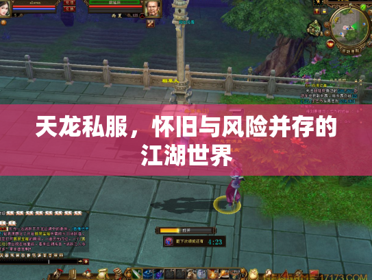 天龙私服，怀旧与风险并存的江湖世界