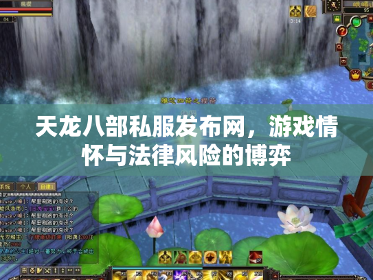 天龙八部私服发布网，游戏情怀与法律风险的博弈