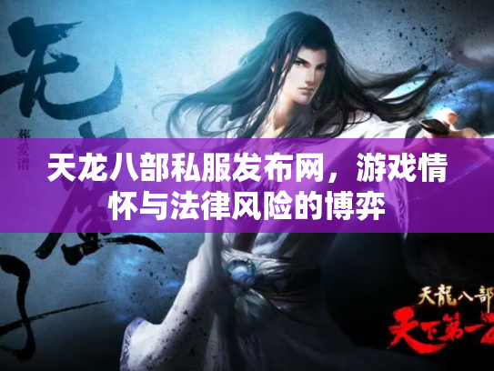 天龙八部私服发布网，游戏情怀与法律风险的博弈