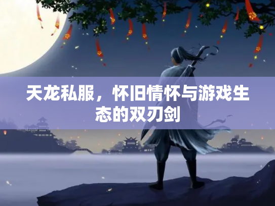 天龙私服，怀旧情怀与游戏生态的双刃剑