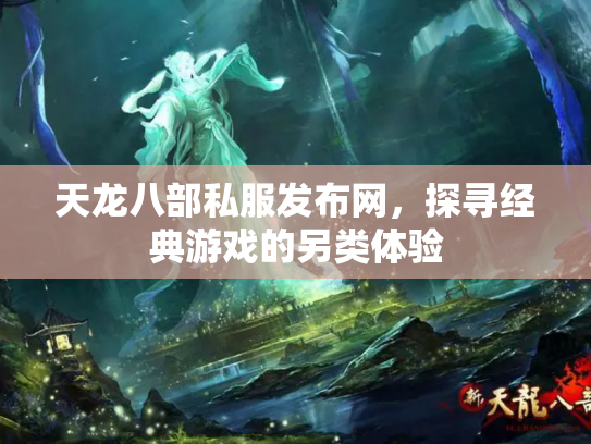 天龙八部私服发布网，探寻经典游戏的另类体验
