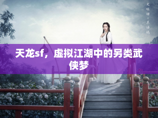 天龙sf，虚拟江湖中的另类武侠梦