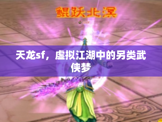 天龙sf，虚拟江湖中的另类武侠梦