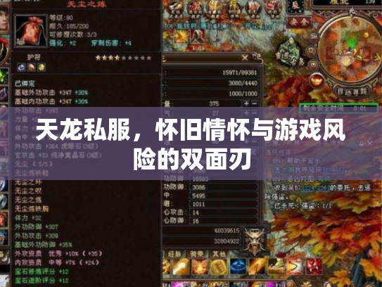 天龙私服，怀旧情怀与游戏风险的双面刃