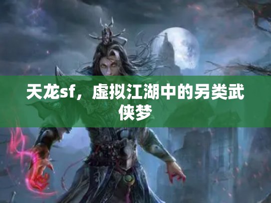 天龙sf，虚拟江湖中的另类武侠梦