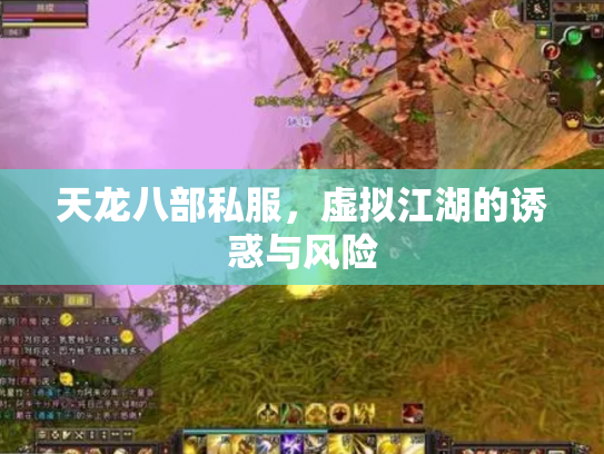 天龙八部私服，虚拟江湖的诱惑与风险