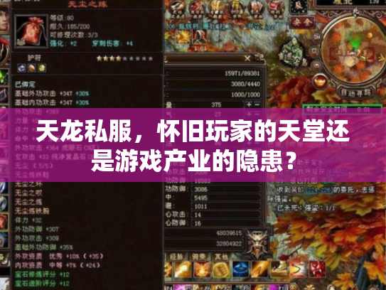 天龙私服，怀旧玩家的天堂还是游戏产业的隐患？