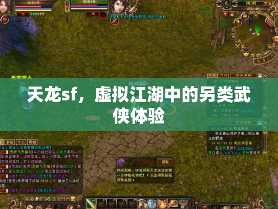 天龙sf，虚拟江湖中的另类武侠体验