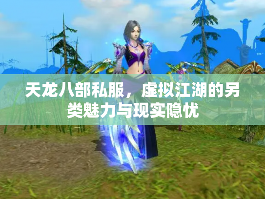天龙八部私服，虚拟江湖的另类魅力与现实隐忧