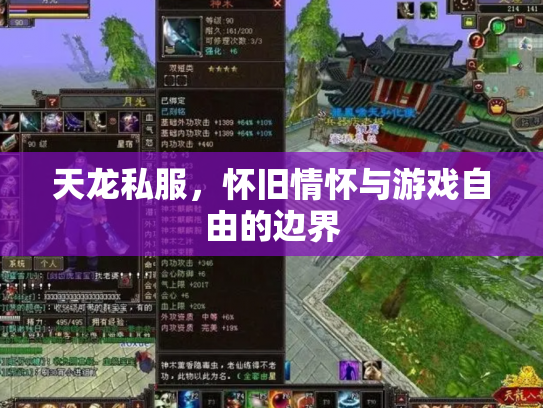 天龙私服，怀旧情怀与游戏自由的边界