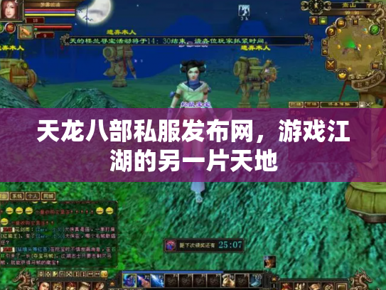 天龙八部私服发布网，游戏江湖的另一片天地
