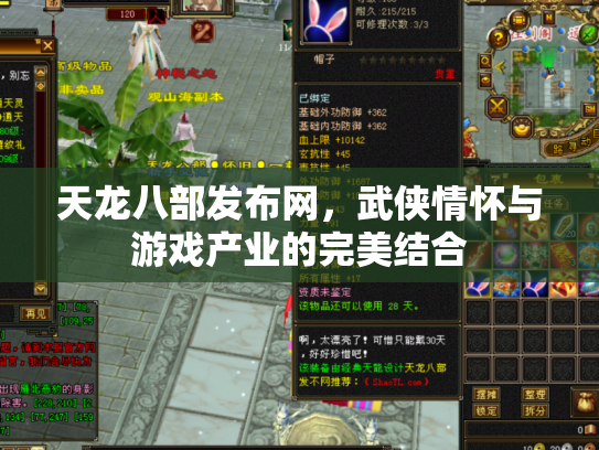 天龙八部发布网，武侠情怀与游戏产业的完美结合