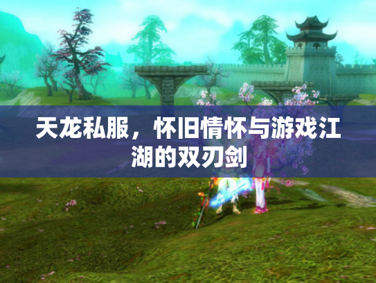 天龙私服，怀旧情怀与游戏江湖的双刃剑