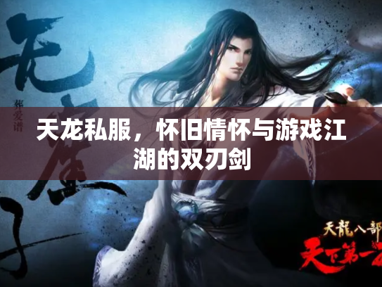 天龙私服，怀旧情怀与游戏江湖的双刃剑
