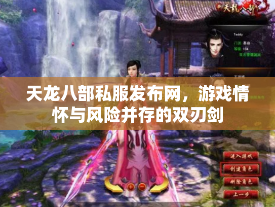 天龙八部私服发布网，游戏情怀与风险并存的双刃剑