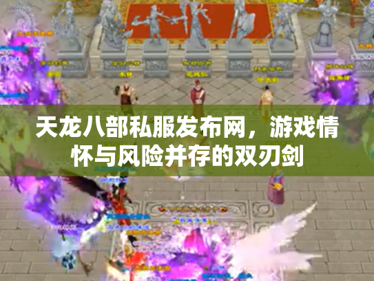 天龙八部私服发布网，游戏情怀与风险并存的双刃剑
