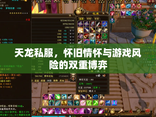 天龙私服，怀旧情怀与游戏风险的双重博弈