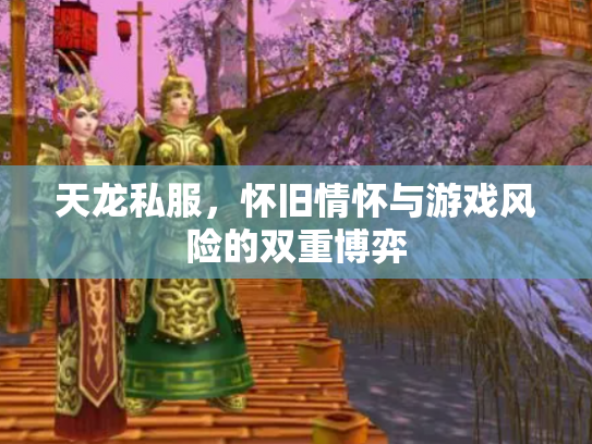 天龙私服，怀旧情怀与游戏风险的双重博弈