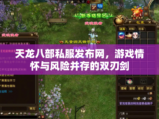 天龙八部私服发布网，游戏情怀与风险并存的双刃剑