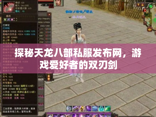 探秘天龙八部私服发布网，游戏爱好者的双刃剑