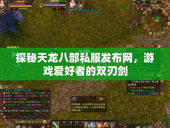 探秘天龙八部私服发布网，游戏爱好者的双刃剑