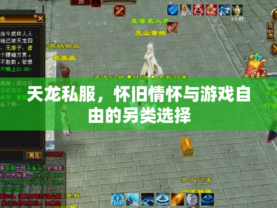 天龙私服，怀旧情怀与游戏自由的另类选择