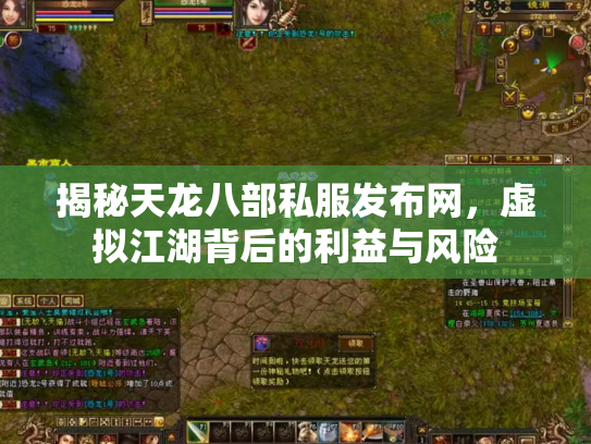 揭秘天龙八部私服发布网，虚拟江湖背后的利益与风险