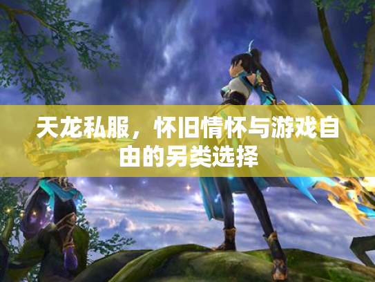 天龙私服，怀旧情怀与游戏自由的另类选择