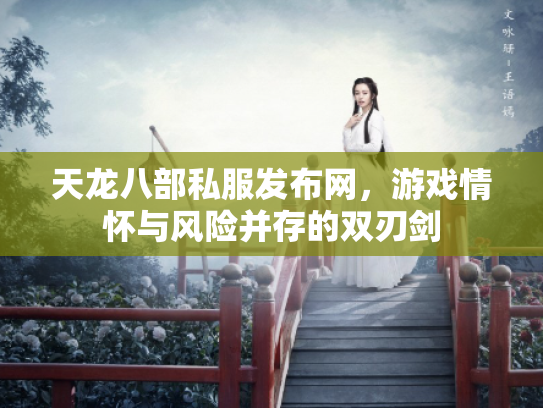 天龙八部私服发布网，游戏情怀与风险并存的双刃剑