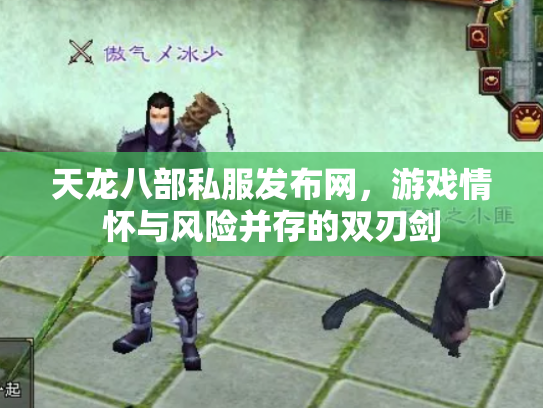 天龙八部私服发布网，游戏情怀与风险并存的双刃剑