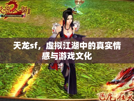 天龙sf，虚拟江湖中的真实情感与游戏文化