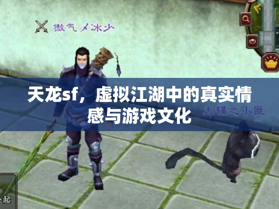 天龙sf，虚拟江湖中的真实情感与游戏文化