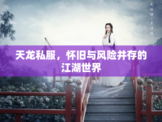 天龙私服，怀旧与风险并存的江湖世界