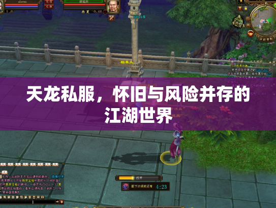 天龙私服，怀旧与风险并存的江湖世界