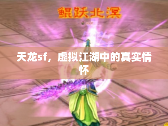 天龙sf，虚拟江湖中的真实情怀