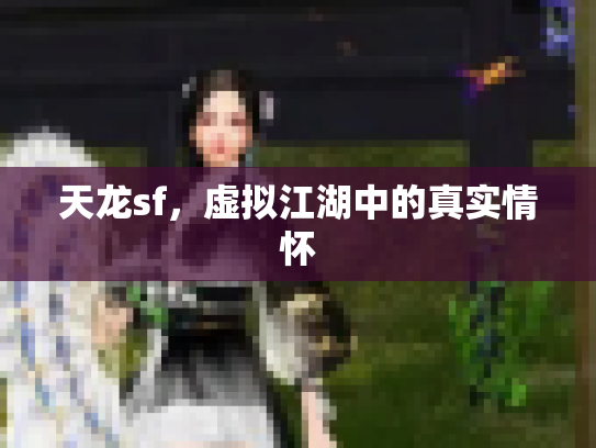 天龙sf，虚拟江湖中的真实情怀