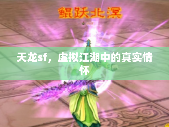 天龙sf，虚拟江湖中的真实情怀