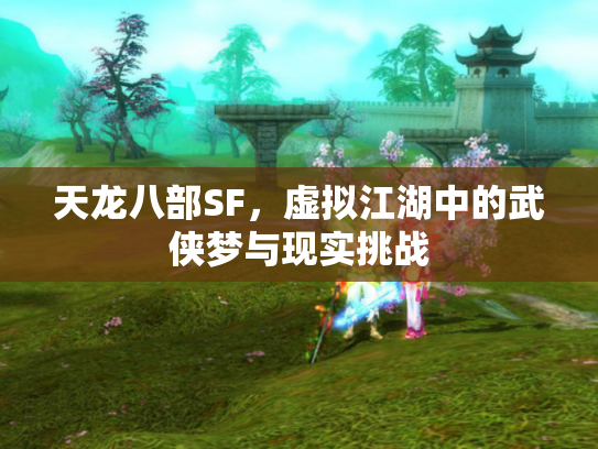 天龙八部SF，虚拟江湖中的武侠梦与现实挑战