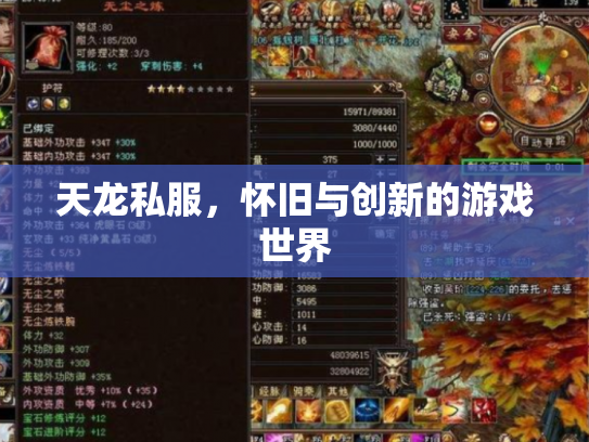 天龙私服，怀旧与创新的游戏世界