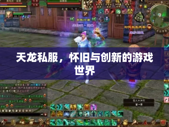 天龙私服，怀旧与创新的游戏世界