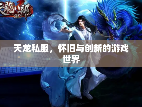 天龙私服，怀旧与创新的游戏世界