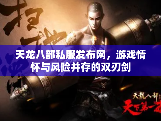 天龙八部私服发布网，游戏情怀与风险并存的双刃剑